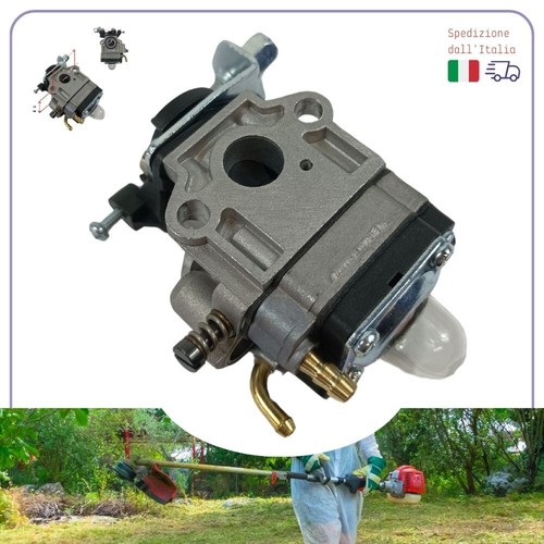 Carburateur walbro pour - walbro,